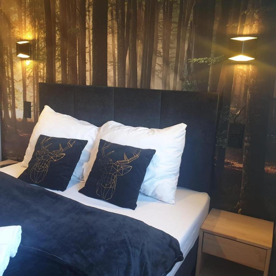 Apartament Izerska Przygoda - 5D Apartamenty Swieradow-Zdroj Bagian luar foto